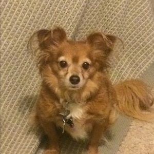 Meet your Posher, Jeanette